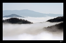 Profili nella nebbia